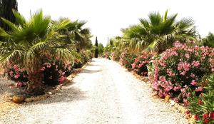Zahrada ubytování Finca Alqueria Fosca