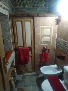 ein kleines Badezimmer mit Waschbecken und Toilette in der Unterkunft Alojamiento en Magina la casilla de Eustaquia in Bedmar