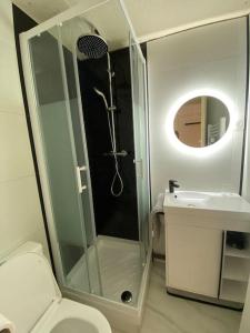 une salle de bains avec douche, toilettes et lavabo dans l'établissement Studio cosy au pied de la télécabine pour l Alpe d Huez Parking privé, à Allemont 21 autres photos