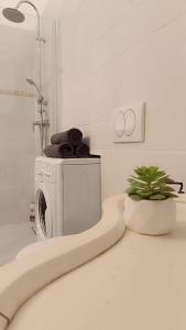 a washing machine in a kitchen with a plant at Heritage Harmony with FREE PARKING in Budapest