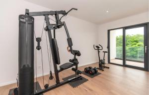 a gym with treadmills and exercise equipment in a room at Cozy Home In Kamen Most in Kamenmost +29 photos