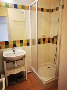 a bathroom with a shower and a sink at Petit cocon en Provence in Mallemort +22 photos