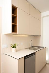 Кухня или мини-кухня в CK Apartments
 +47 фотографий