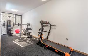 una habitación con gimnasio con cinta de correr y pesas en Cozy Apartment In Strozanac With Wifi, en Strožanac