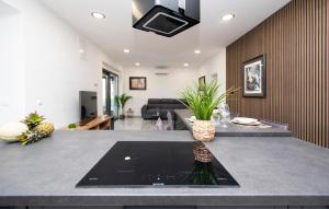 O bucătărie sau chicinetă la Nice Apartment In Brodarica With Sauna
