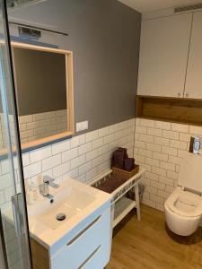 ein Badezimmer mit Waschbecken und Toilette in der Unterkunft Przytulna kawalerka nad Jeziorem Długim darmowy parking i rowery in Olsztyn + 22 Fotos