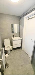 Vannituba majutusasutuses Private Room with No Windows in Shared House-5