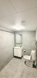 Vannituba majutusasutuses Private Room with No Windows in Shared House-5