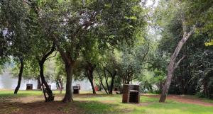 un parc avec des arbres et une masse d'eau dans l'établissement Westvaal Holiday Resort Campsites - Bring your own Tent or Caravan, à Parys