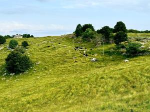 Fotografie z fotogalerie ubytování Chalet I Porsili v destinaci Erbezzo + 25 fotografií