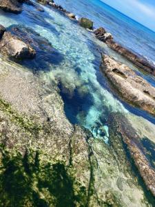 Foto dalla galleria di La terrazza sul mare a Torre Vado Altre 6 foto