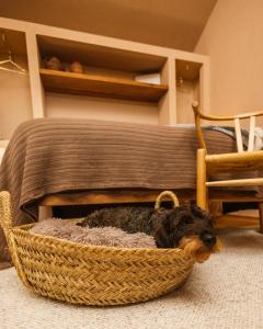 Ein Bett oder Betten in einem Zimmer der Unterkunft Vinha by NHôme