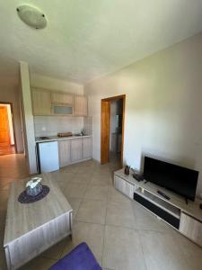 a large living room with a television and a table at Sunrise house apartments in Ulcinj