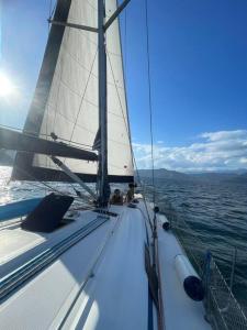 Un velero en el agua con el sol al fondo en Sailing Experience in San Blas, en Garrote 1 foto más
