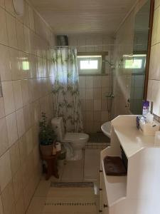 a bathroom with a toilet and a sink at Shanti Resort Villas & Deluxe SPA in Sarboriškės I