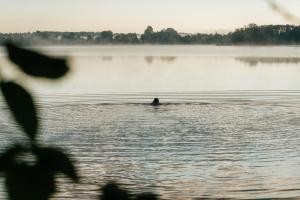 Ảnh trong thư viện ảnh của Shanti Resort Villas & Deluxe SPA ở Sarboriškės I