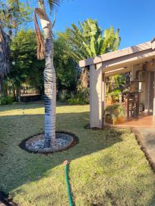 Vườn quanh The Orange room