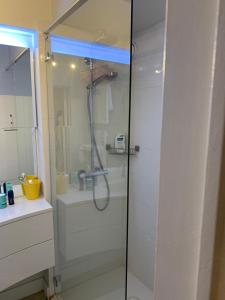 eine Dusche mit einer Glastür in einem Badezimmer in der Unterkunft Superbe appartement digue vue mer in Knokke-Heist