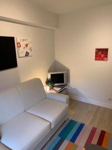 TV/Unterhaltungsangebot in der Unterkunft Superbe appartement digue vue mer