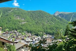a view of a town in the mountains at Haus Bodmen C, Apartment Grünsee in Zermatt