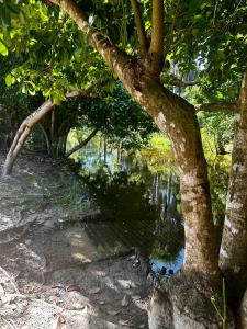 Gallery image of Sítio Encanto do Delta in Tutóia