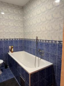 Kopalnica v nastanitvi Loli apartman 2