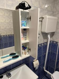 Kopalnica v nastanitvi Loli apartman 2