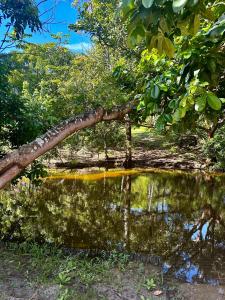 Gallery image of Sítio Encanto do Delta in Tutóia