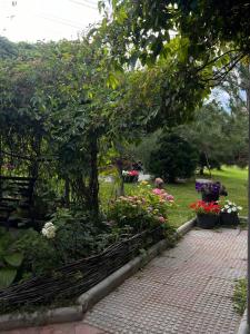 Giardino di Podsolnukhi Guest House