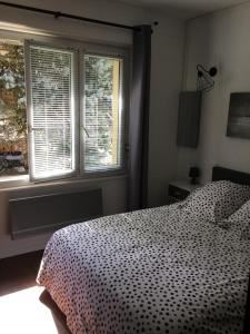 une chambre avec un lit et deux fenêtres dans l'établissement IDEAL, appartement moderne, confortable et cosy, à Gérardmer