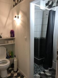 une salle de bain avec une douche avec des toilettes et un rideau de douche noir dans l'établissement IDEAL, appartement moderne, confortable et cosy, à Gérardmer