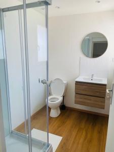 une salle de bain avec toilettes et lavabo dans l'établissement Studio Charles de Gaulle II, à Castres