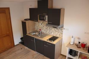 a small kitchen with a sink and a microwave at Appartement Demelfischer am See in Altmünster
