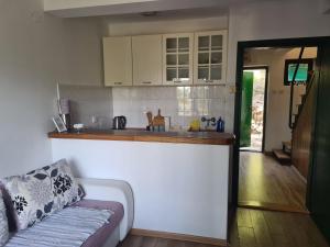 a living room with a couch and a kitchen at Green door 2 in Vrnjačka Banja