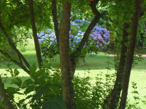 Φωτογραφία από το άλμπουμ του B&B Cuei di Baret σε Tricesimo