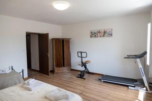 a room with a gym with a treadmill and a bed at Casalebellavista in Tarquinia