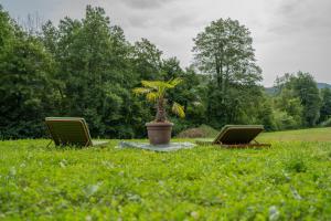 two chairs and a potted plant in the grass at Ribnik Stari trg in Lesično