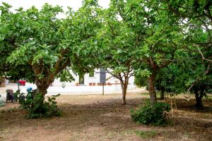 a group of trees with swings in a park at Villa del Lupo in Santa Maria la Palma