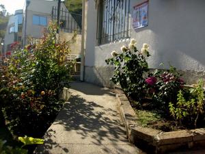 Galería fotográfica de Hostal Limonares en Viña del Mar