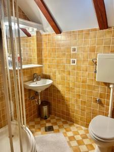 a bathroom with a sink and a toilet at Queen of Danube in Aljmaš