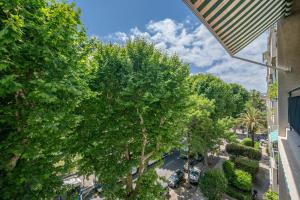 une vue sur un arbre dans un parking dans l'établissement Luxueux, spacieux et tout équipé à 5 min du port, à Nice