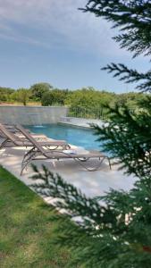 a bench sitting next to a swimming pool at VILA ŠKARLANIJA, Umag in Umag