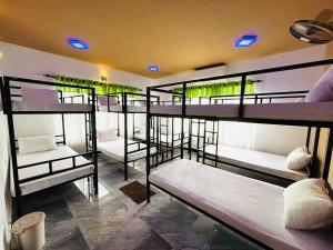 a group of bunk beds in a room at Havelock City Hostel, Colombo in Colombo
