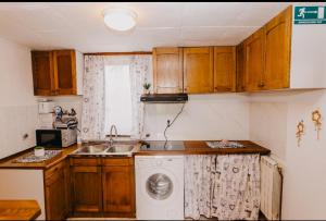 a kitchen with a washing machine and a sink at Dama s kamelijama in Sveti Martin na Muri