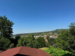 a view of a town with a red roof at Casa Jeremiás in Sovata