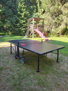 Stolní tenis v ubytování Pension Cabana Cetatile Ponorului nebo okolí