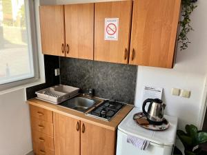 Η κουζίνα ή μικρή κουζίνα στο Apartments Gumla 1