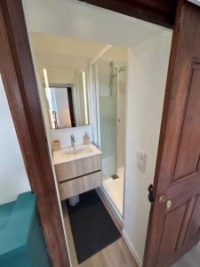 a bathroom with a sink and a mirror at Sublime maison de montagne in Guillaumes +42 photos