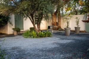 a park with a tree and a bench next to a building at Calitzdorp Self-Catering Guesthouse - Oudehuis in Calitzdorp +81 photos