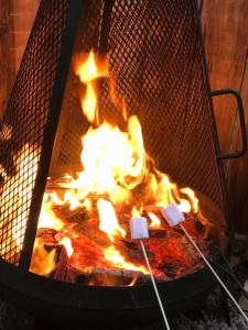 Gril dostupný pro hosty v luxury tent